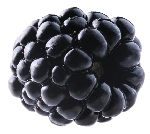 Blackberry2