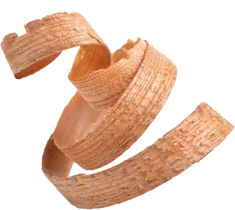 Wood Shaving