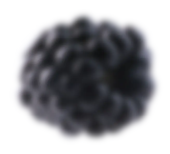 blackberry blurred