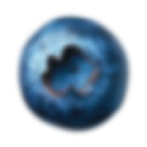 blueberry blurred