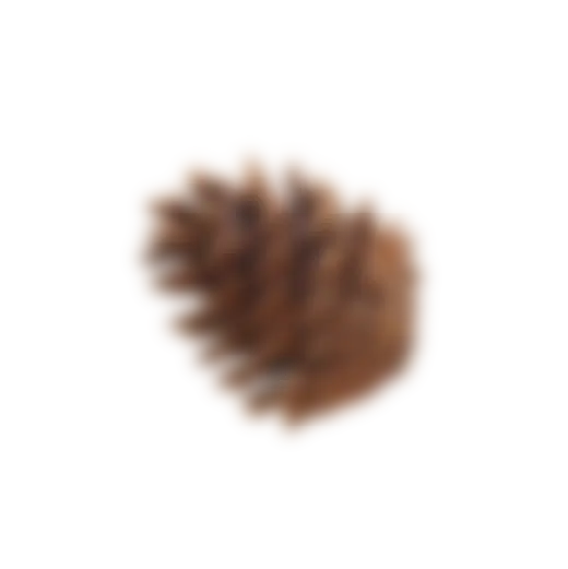 pine con blurrer